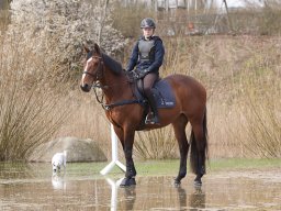 2016 TREC Træning 16 april